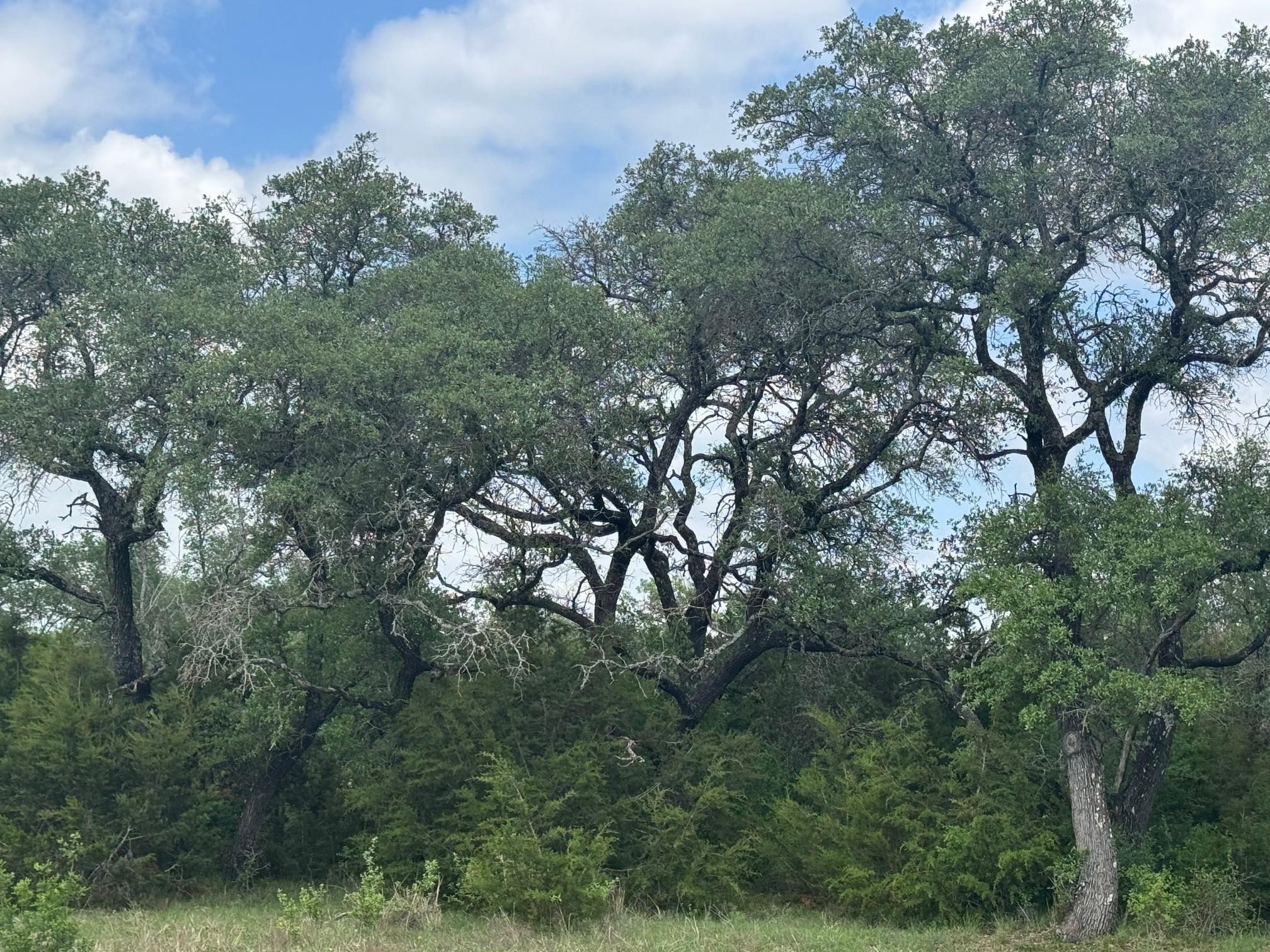 Lot 40 Maverick Way — photo 1