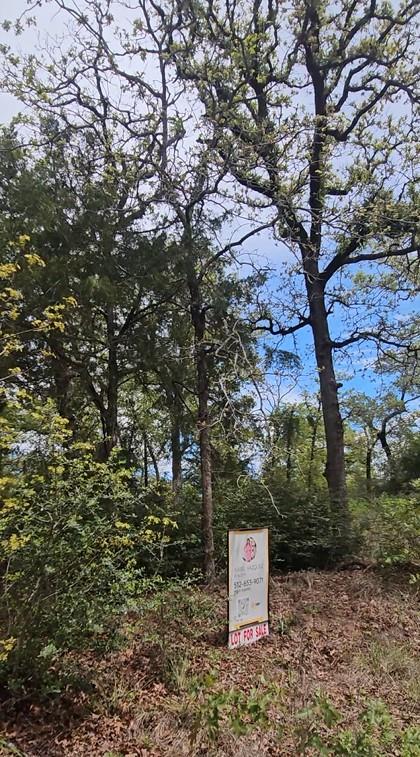 TBD Co Rd 308 Rd — photo 1