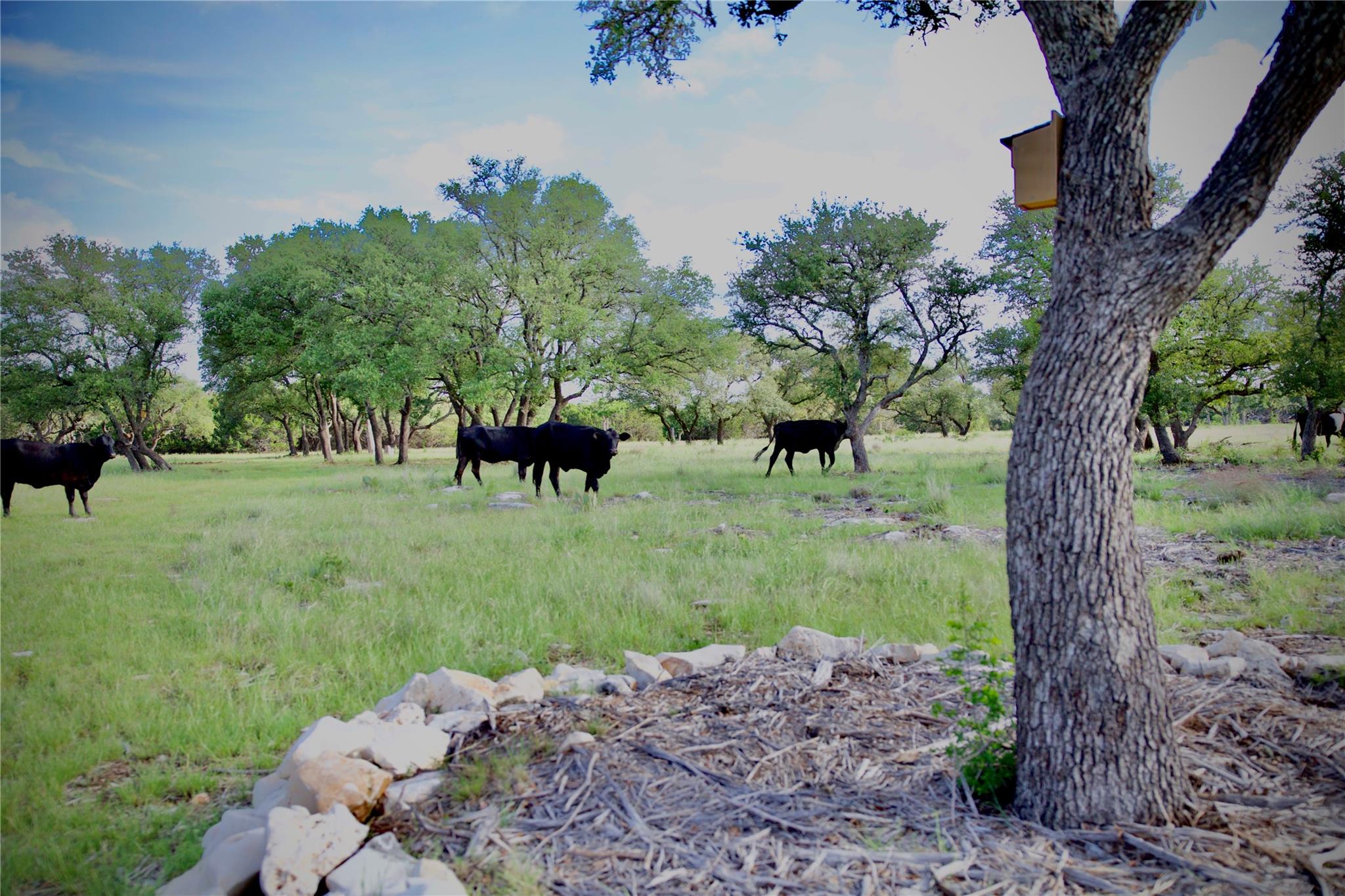 Lot 33 Starfall Dr — photo 1