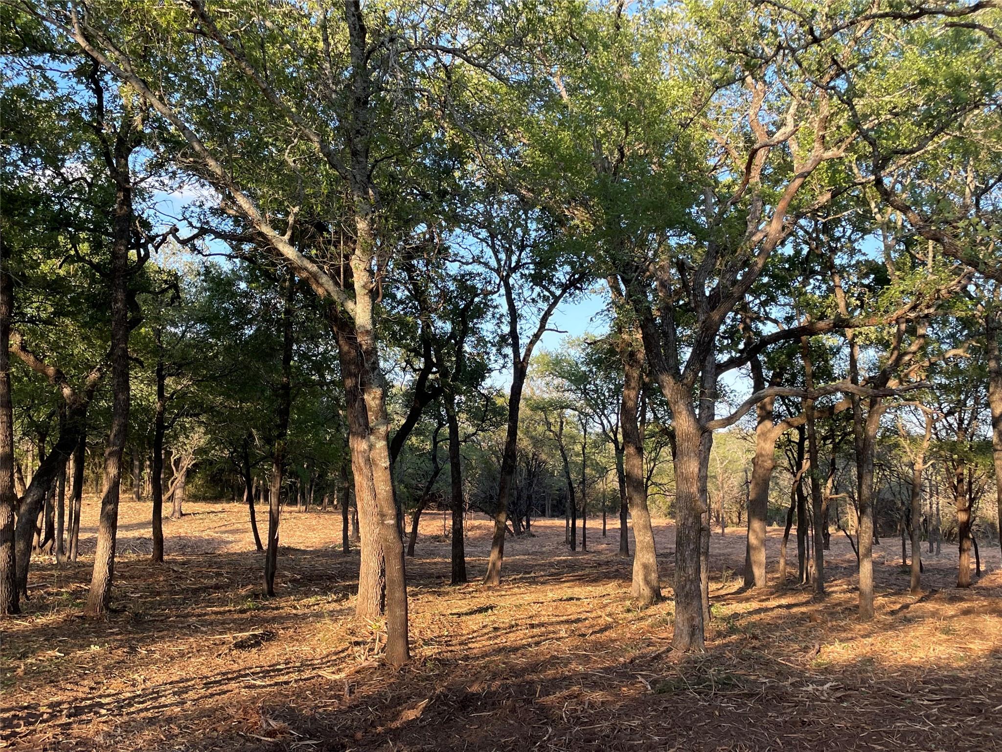 10960  FM 1602 Hwy