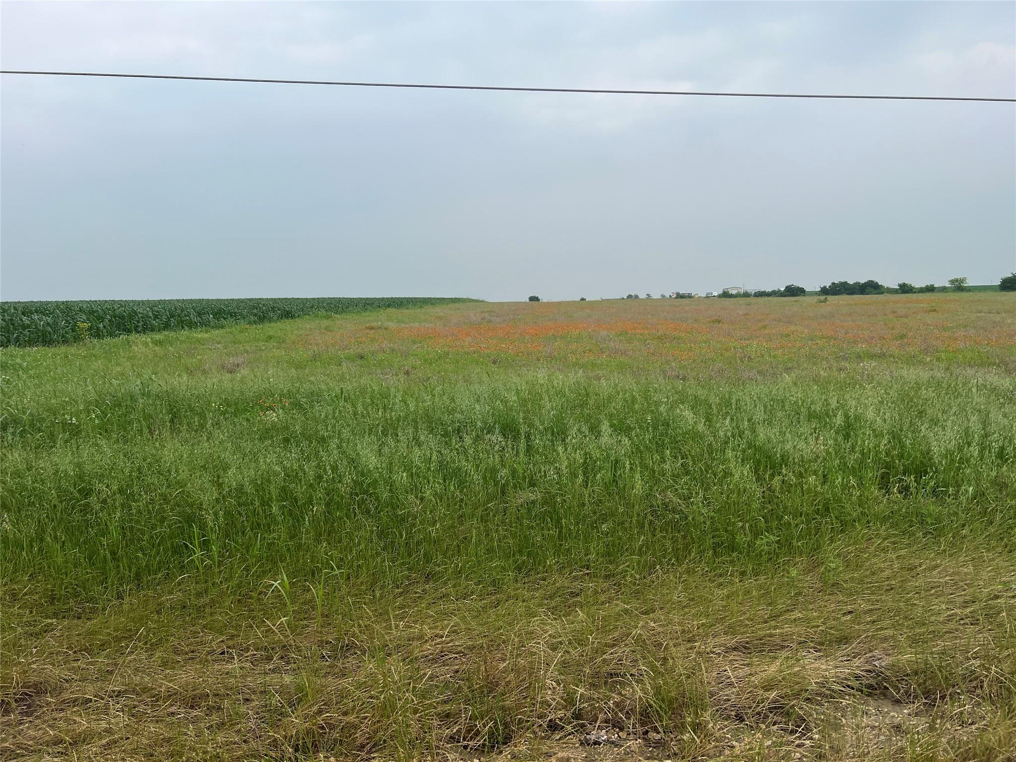 6900 State Highway 95 Hwy N — photo 1