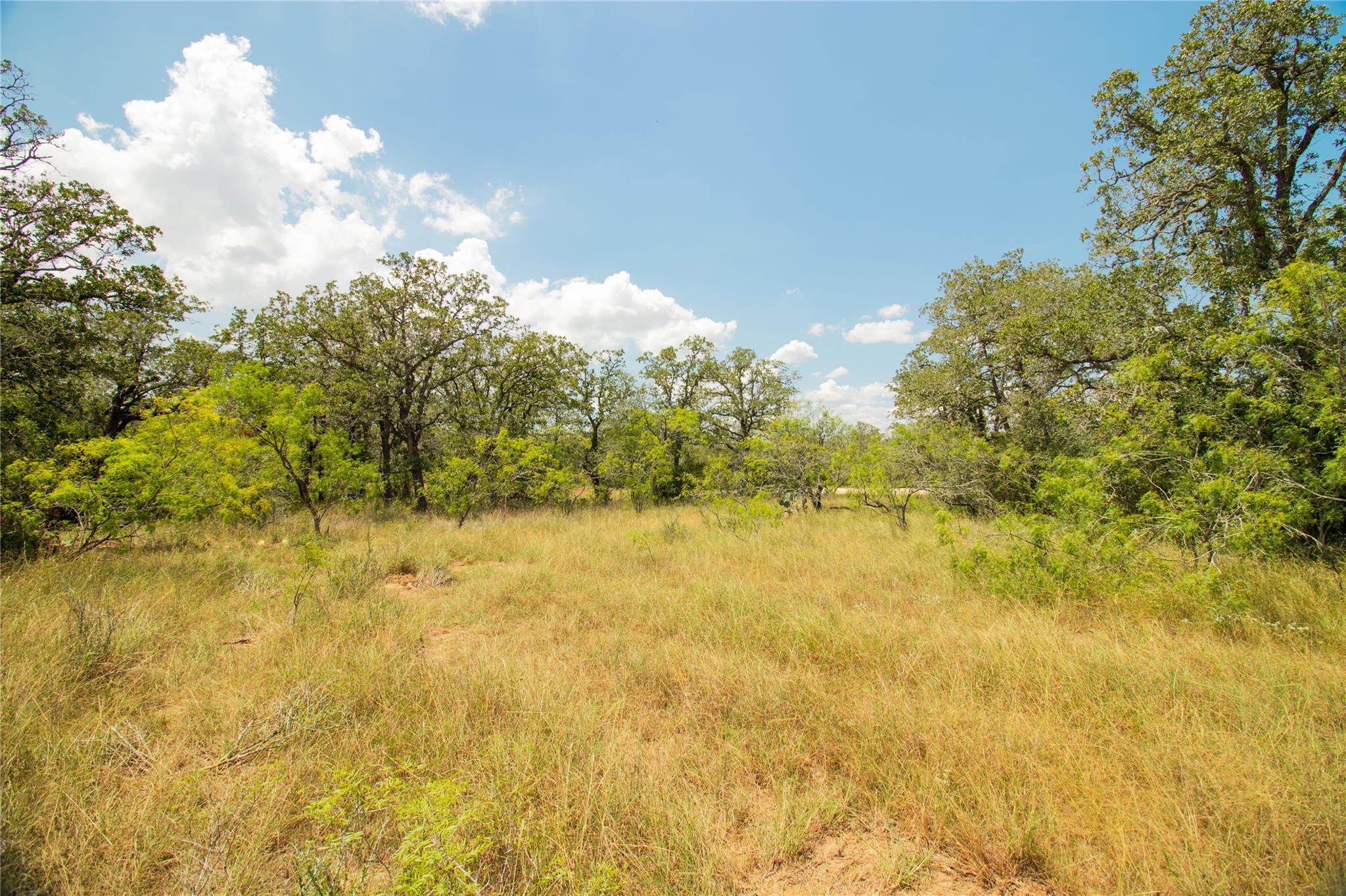 9057 Sycamore Shade Ln — photo 1