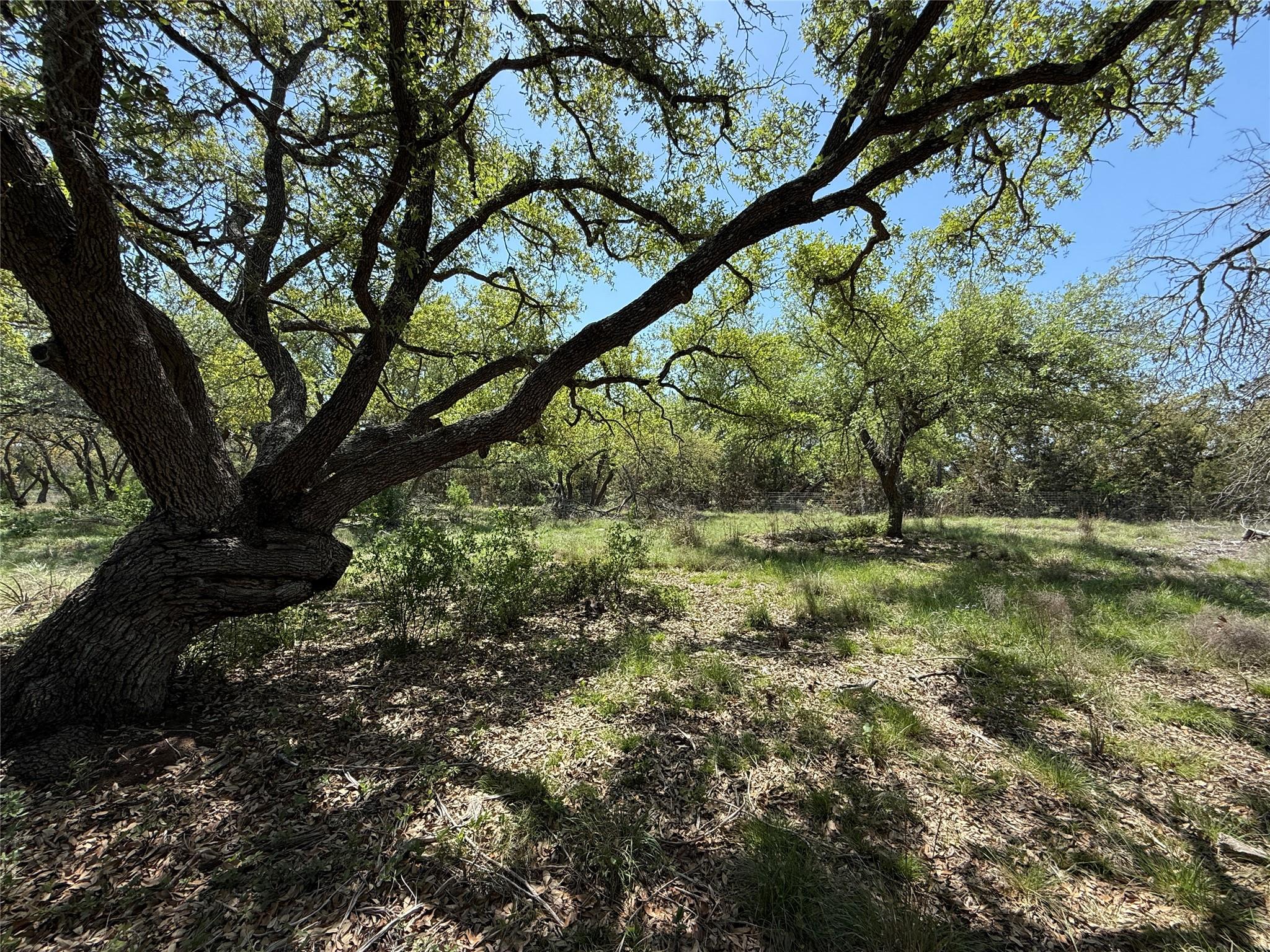 Lot 106 E Flying Owl Dr
