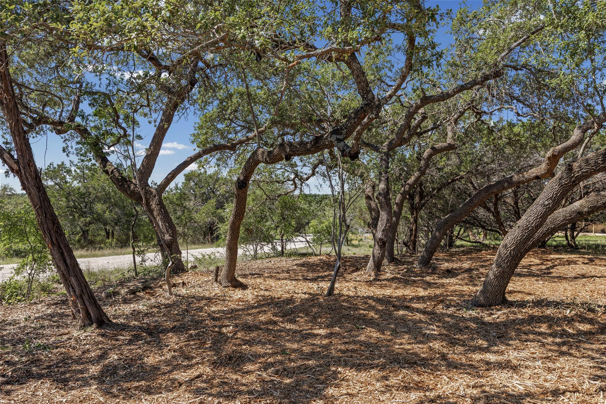 Tract 6 County Rd. 404 None — photo 1