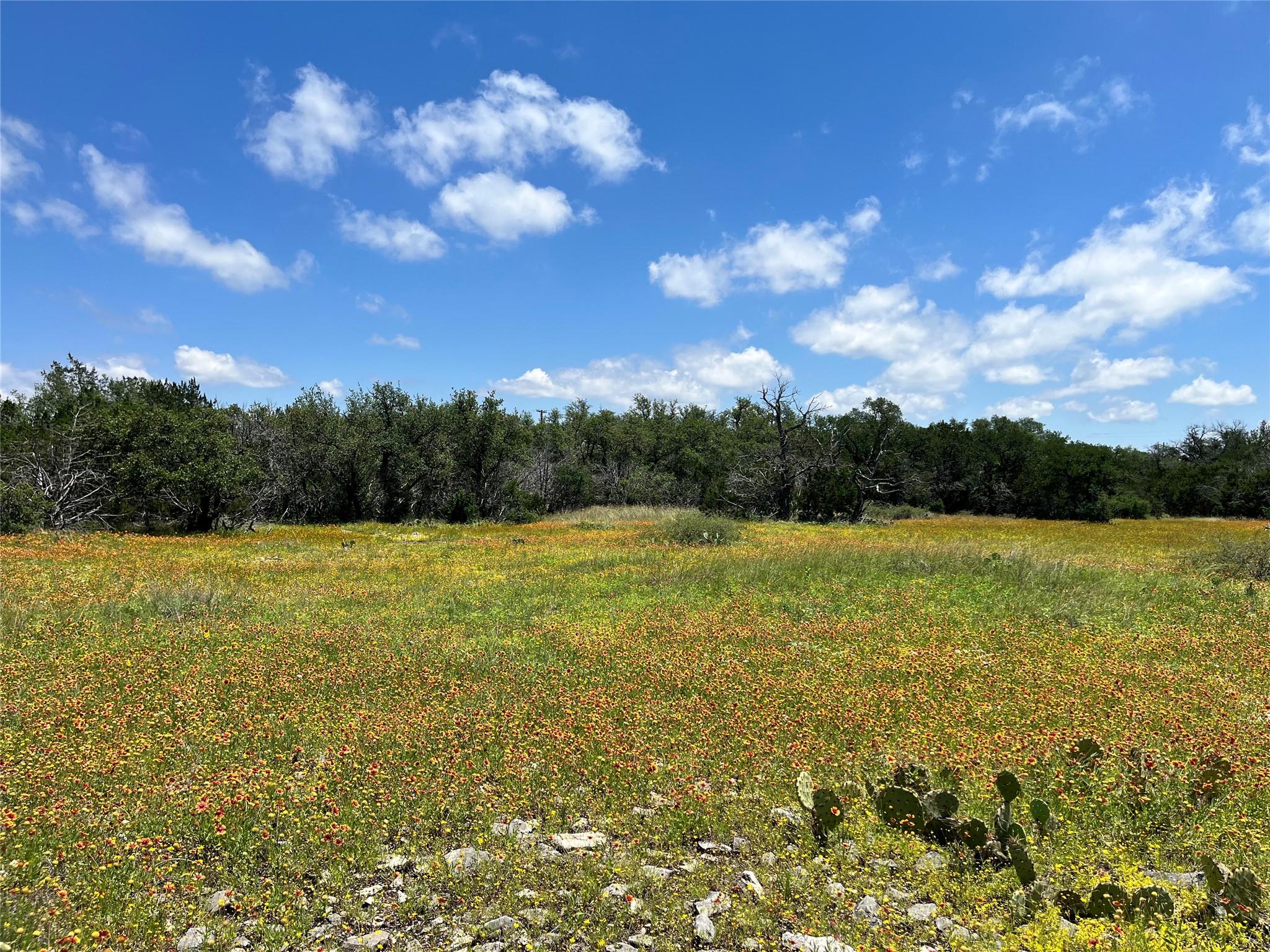 LOT 28  Twisted Oak Dr