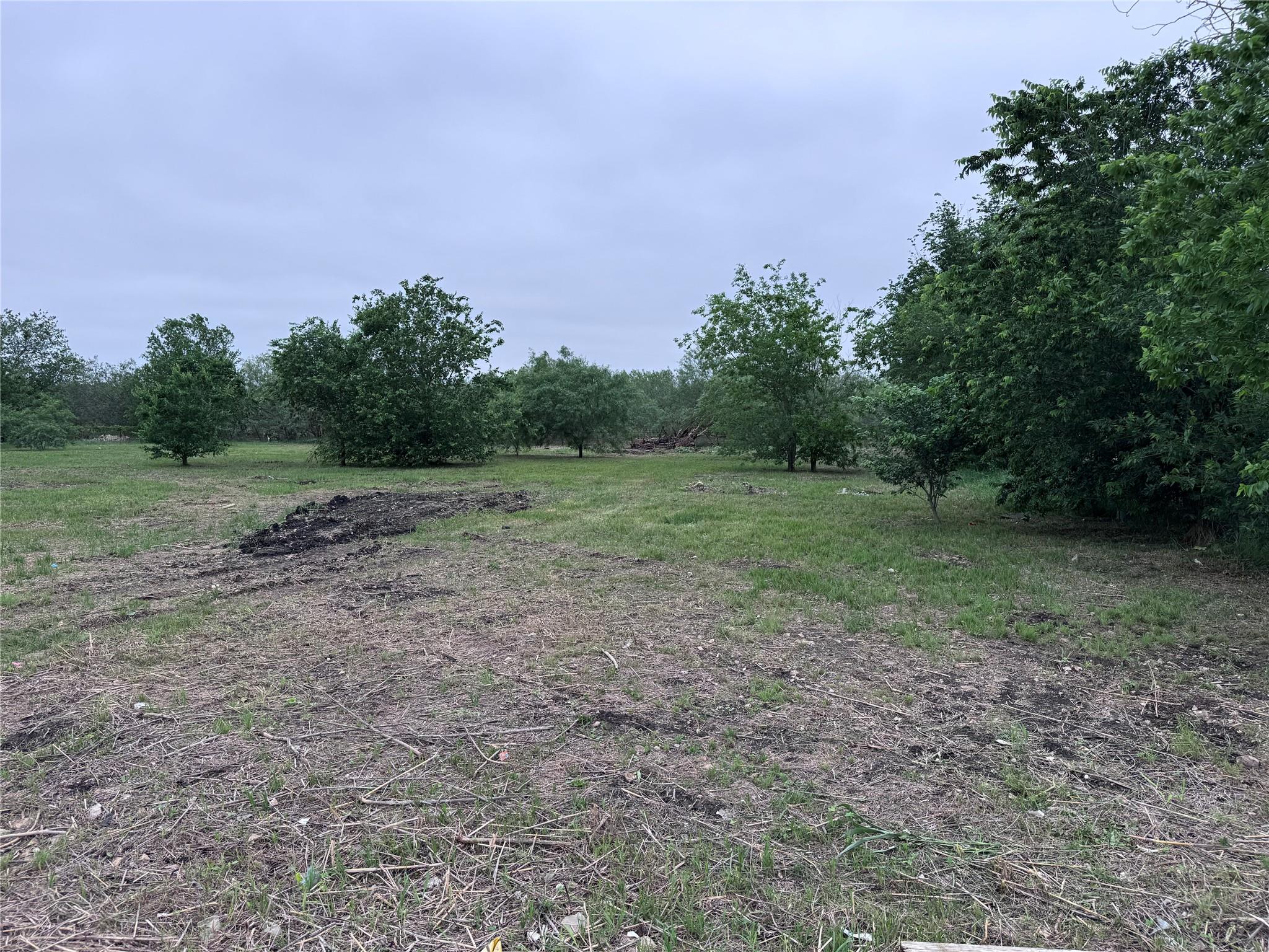 220 Ewald Dr — photo 1
