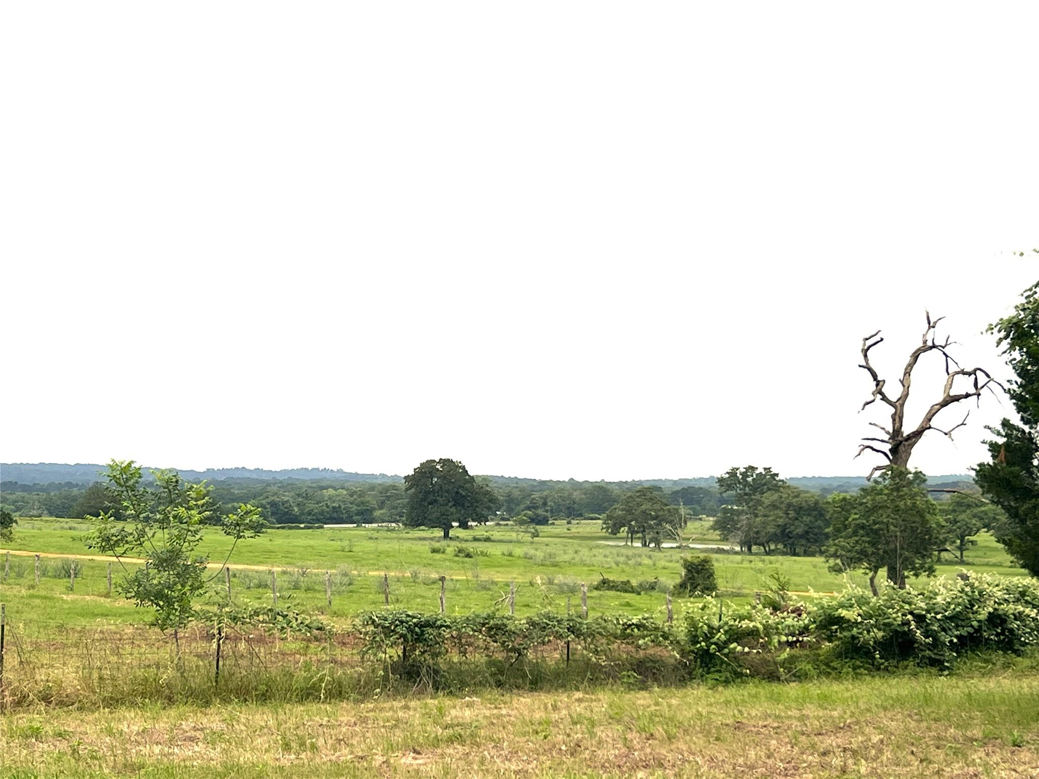 160 Rosanky Cattle Company Rd #R — photo 1