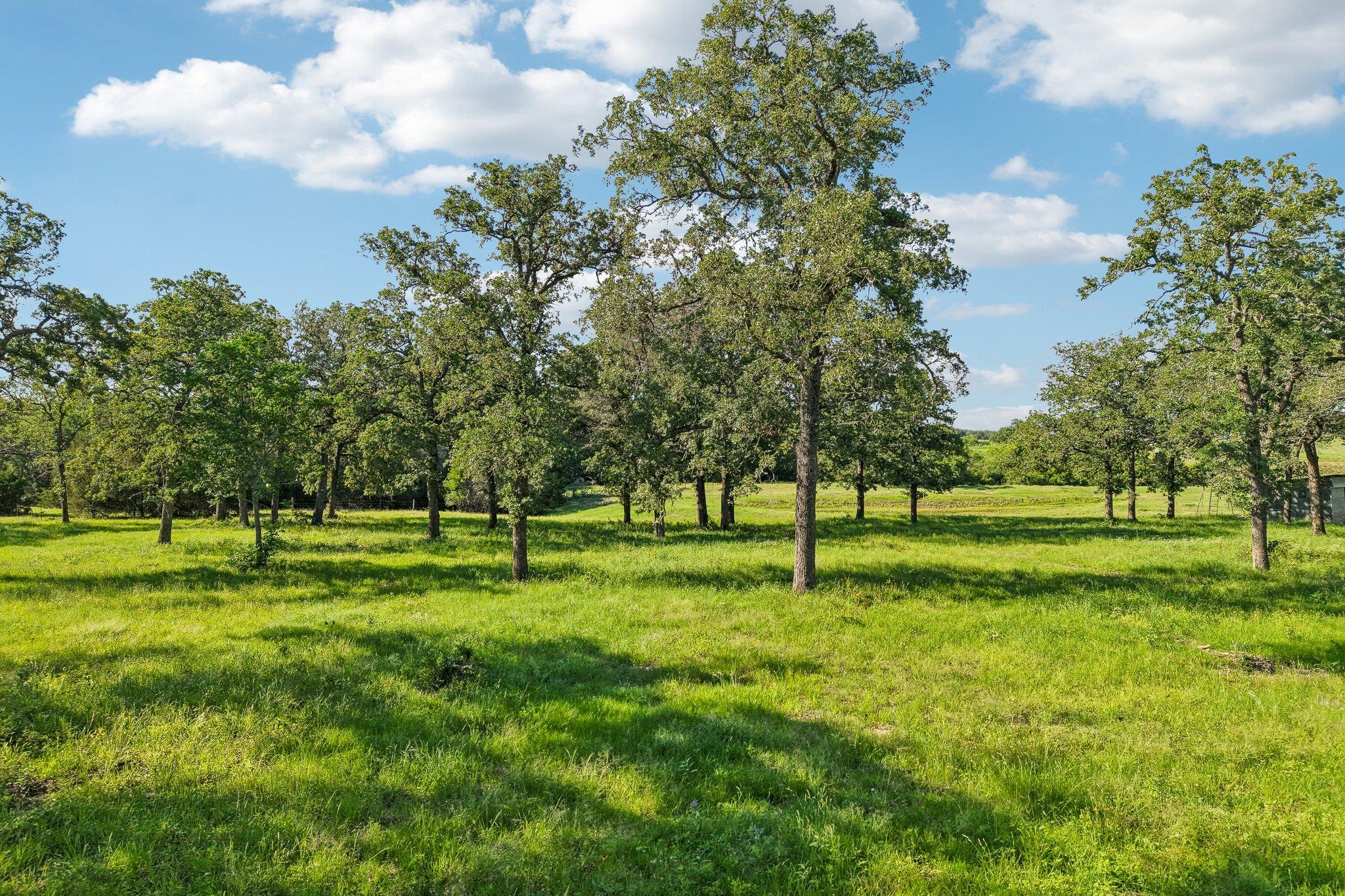 6 Acres County Road 211 None — photo 1
