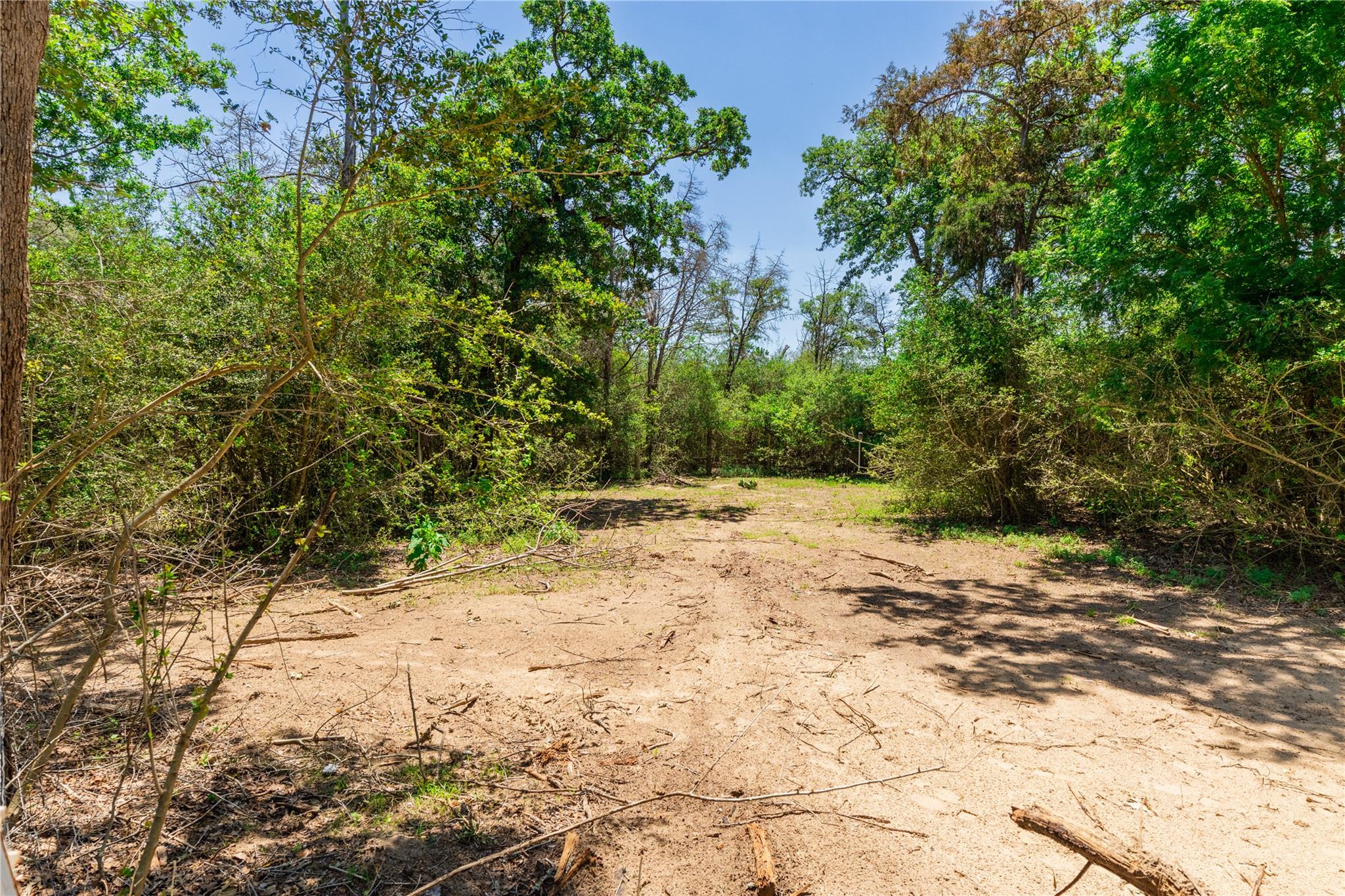 224 Pine Valley Dr — photo 1