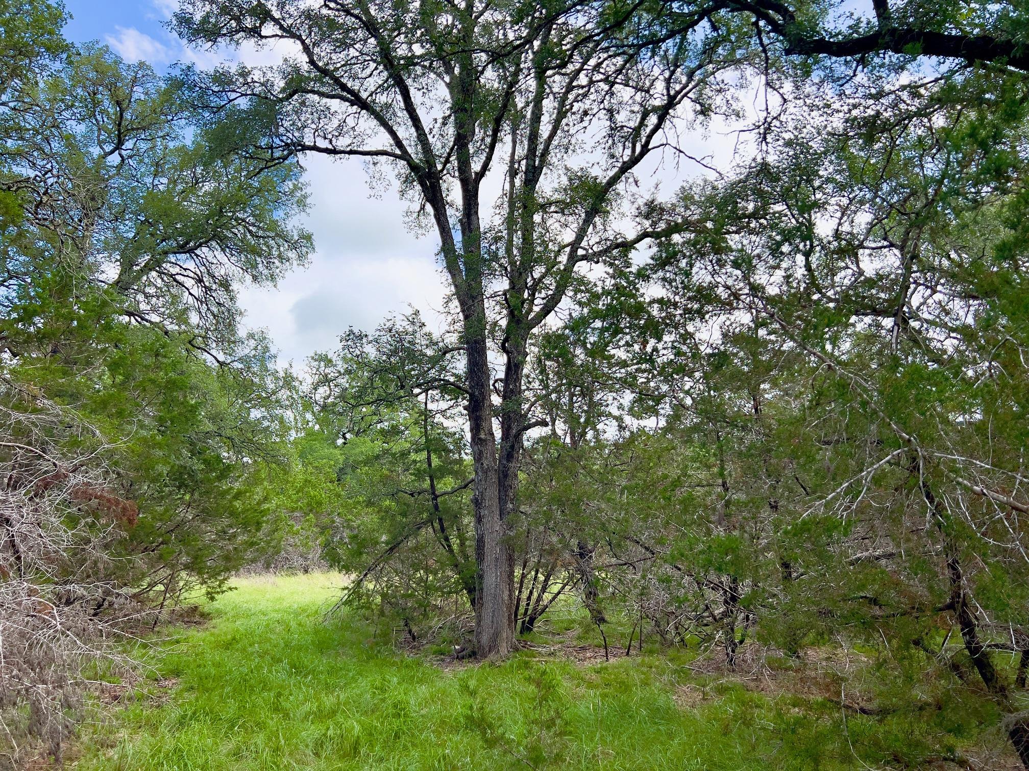 Lot 43-A Narrows Rd #1 — photo 1