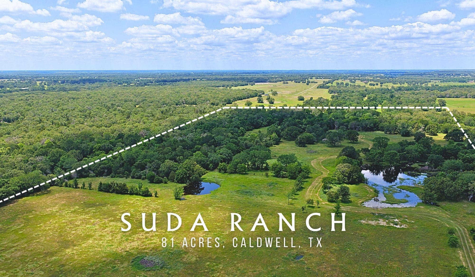 5380 County Road 132 (81.02 acres) None — photo 1