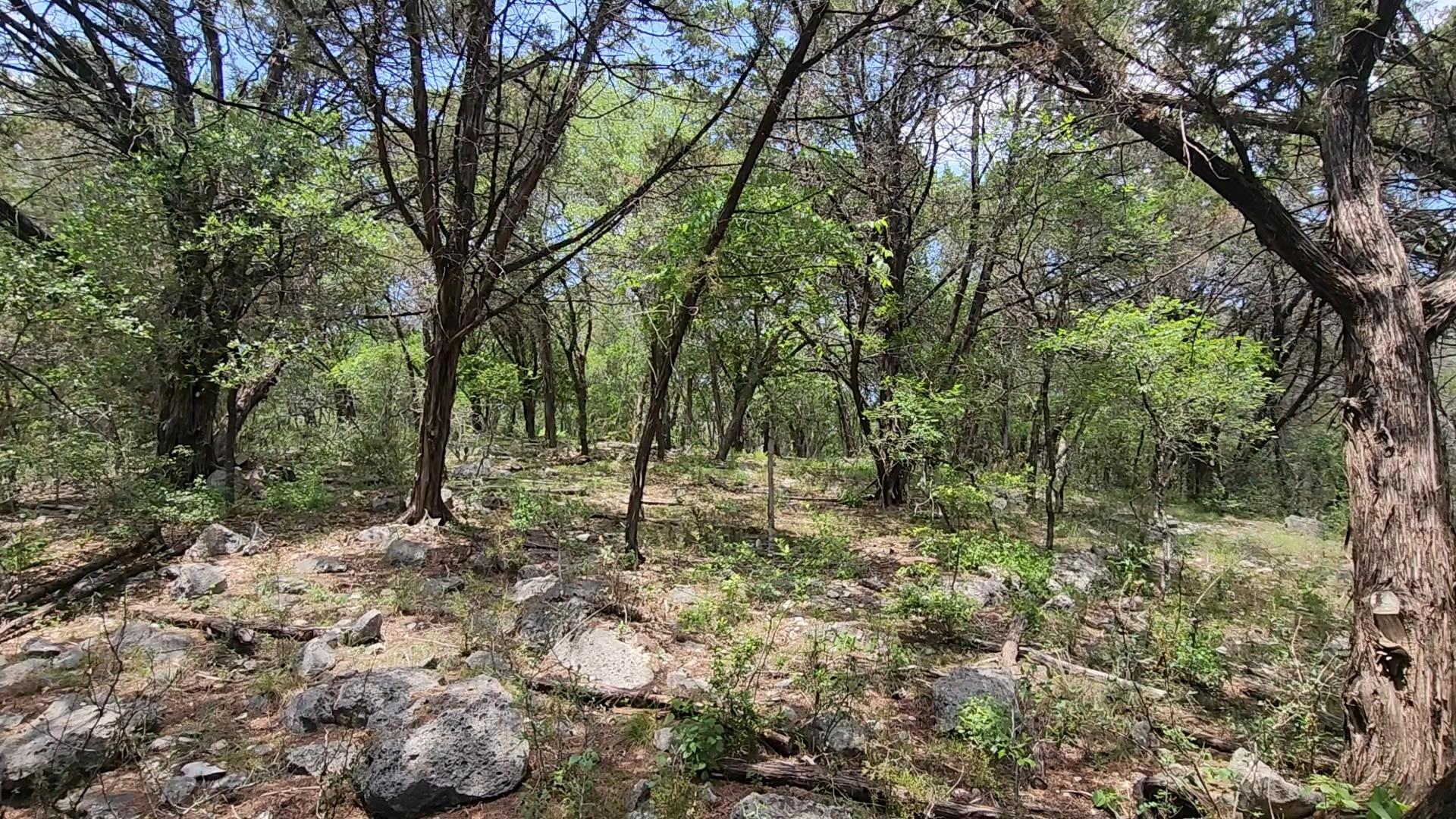 410 Owl Hollow Rd — photo 1
