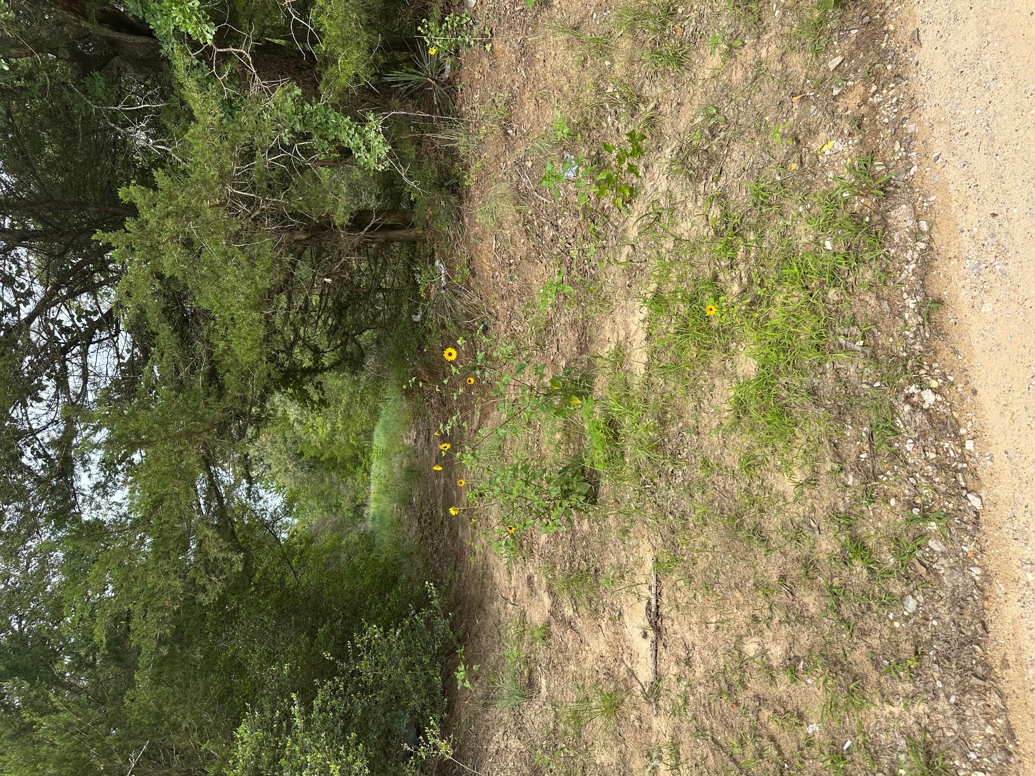 Lot 58-61 Pecan Dr — photo 1