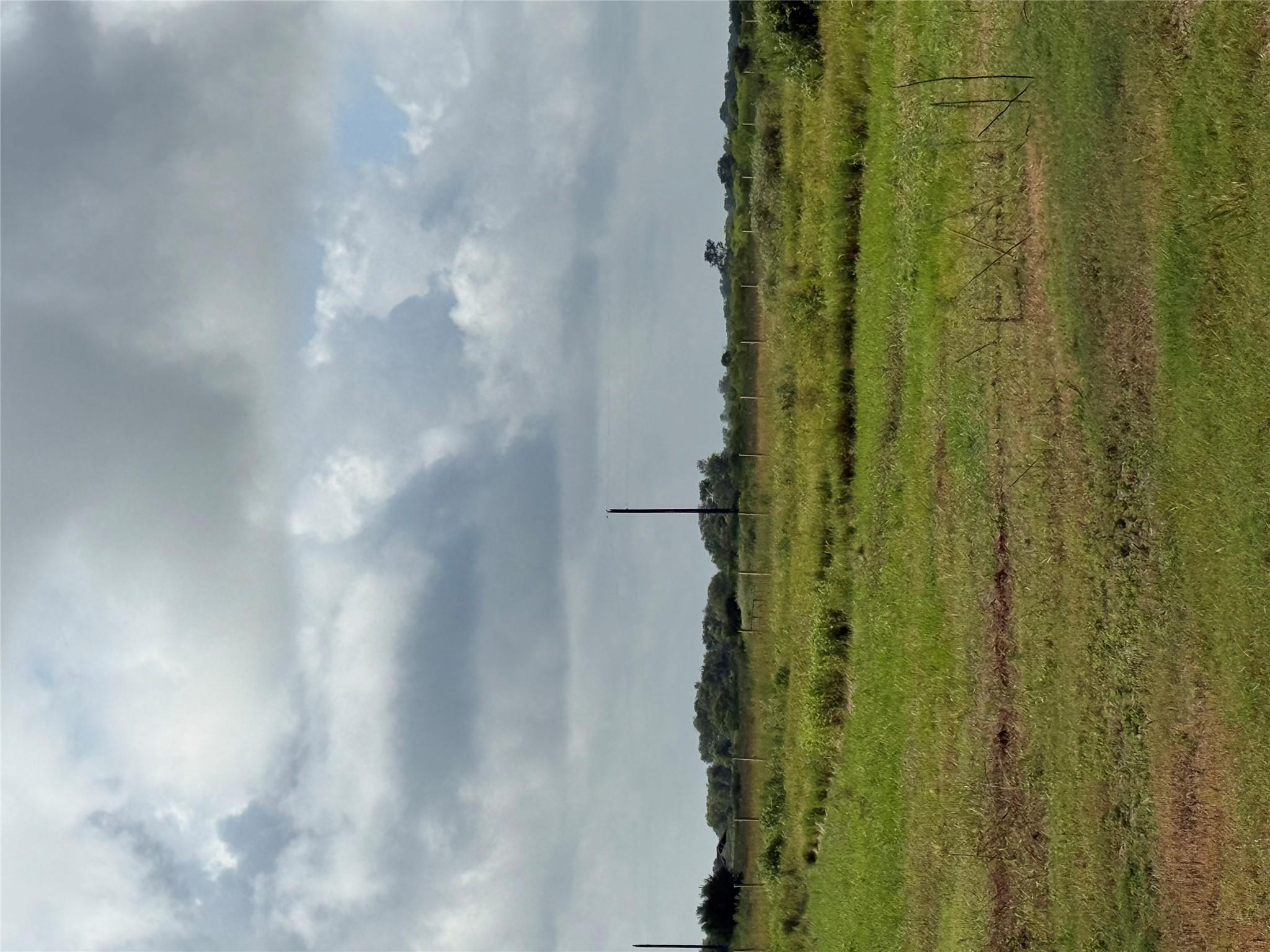 1993 FM 2761 None — photo 1