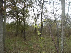 394 FM 112 None — photo 1