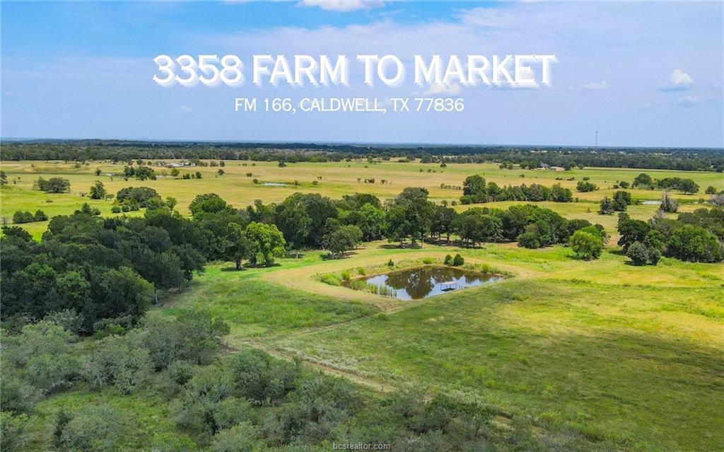 TBD FM 166 (+/-54 acres) None — photo 1