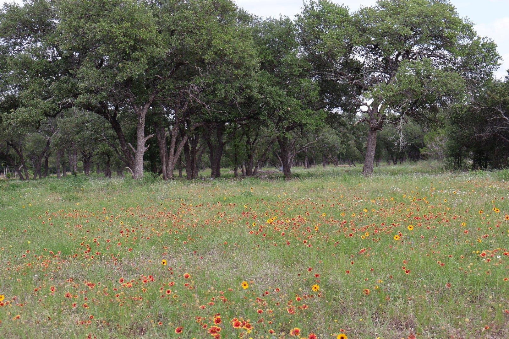 2321 E State Hwy 29 Hwy — photo 1