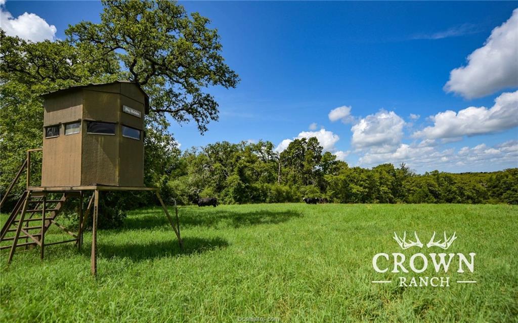 TBD FM 908 (+/-1,057 acres) None — photo 1