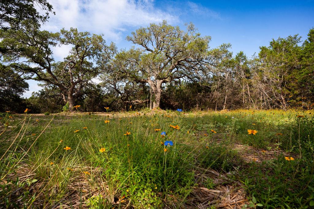 TBD Gatlin Creek Rd — photo 1