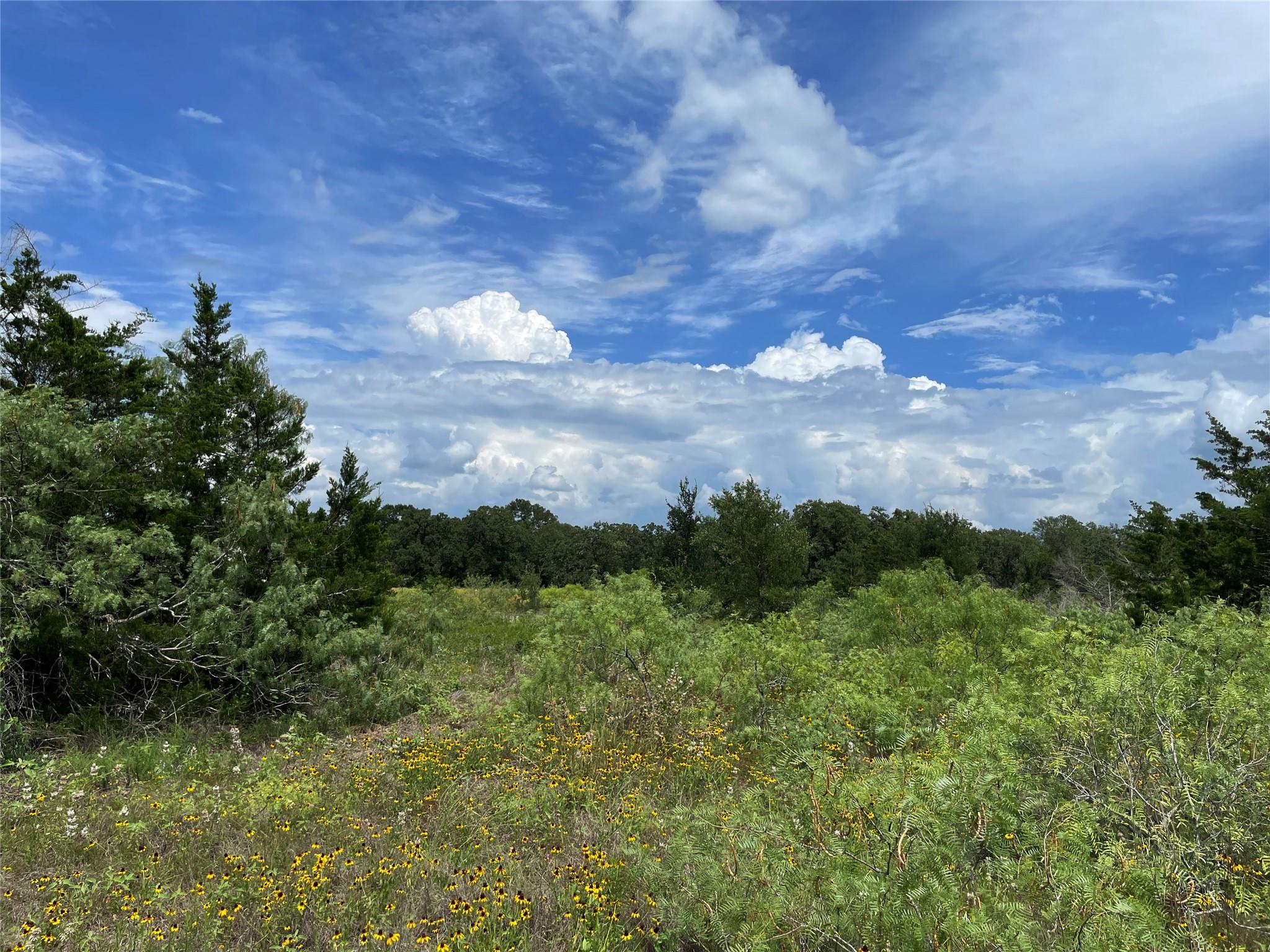 TBD FM 141 None — photo 1