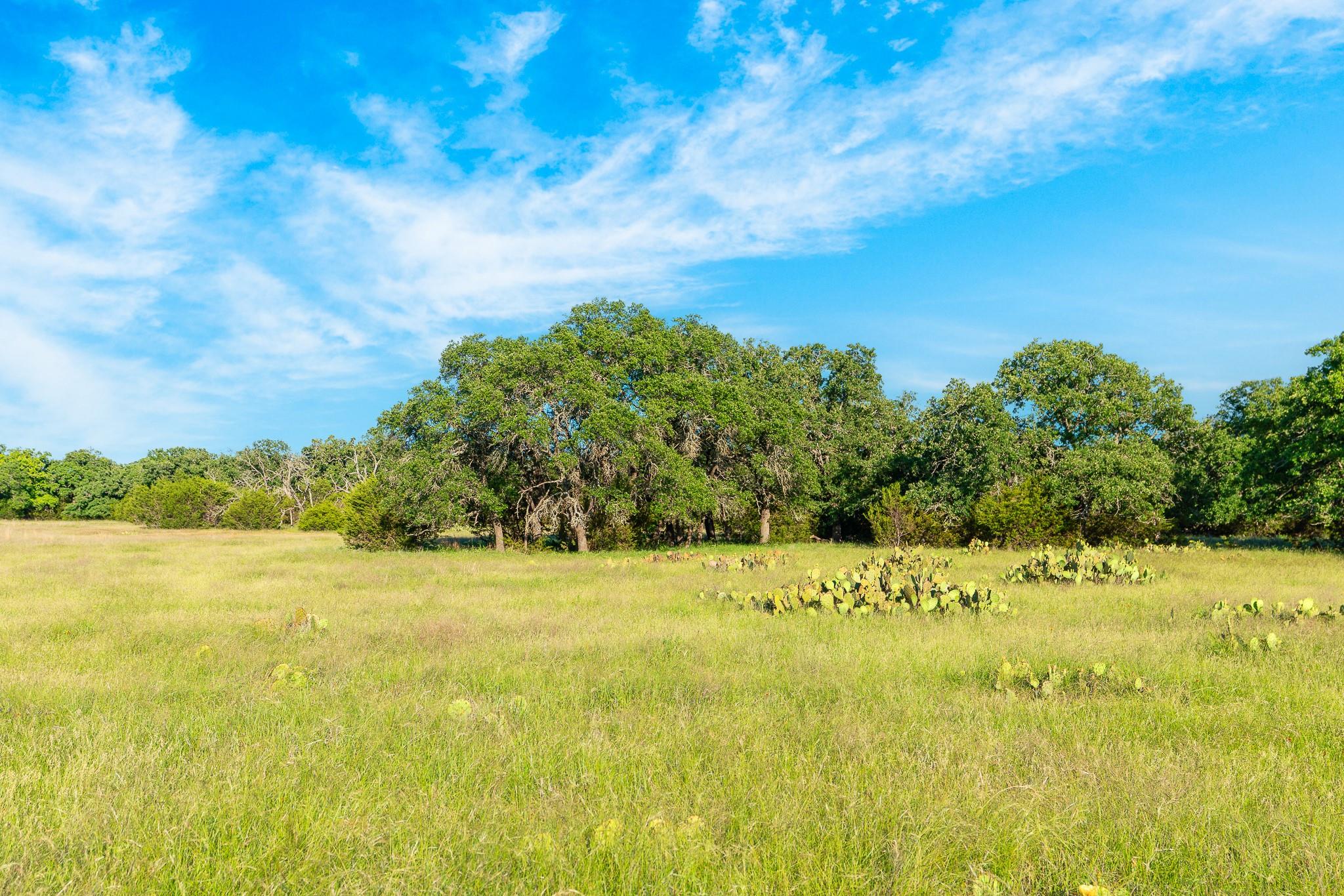 32 Feild Ranch Rd — photo 1