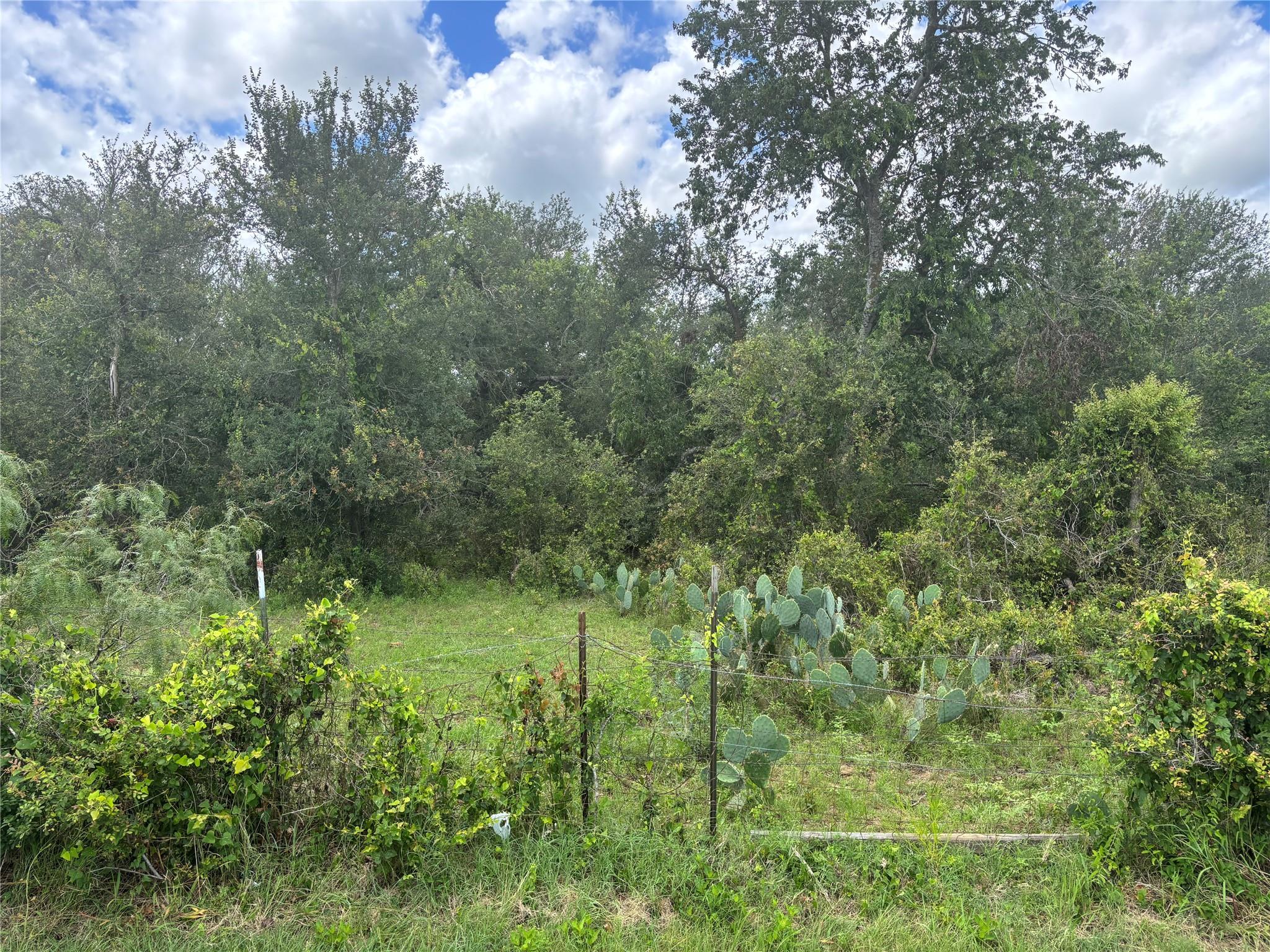 TBD CR 472 None — photo 1