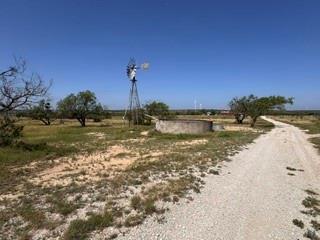 3818 county road 196 None — photo 1