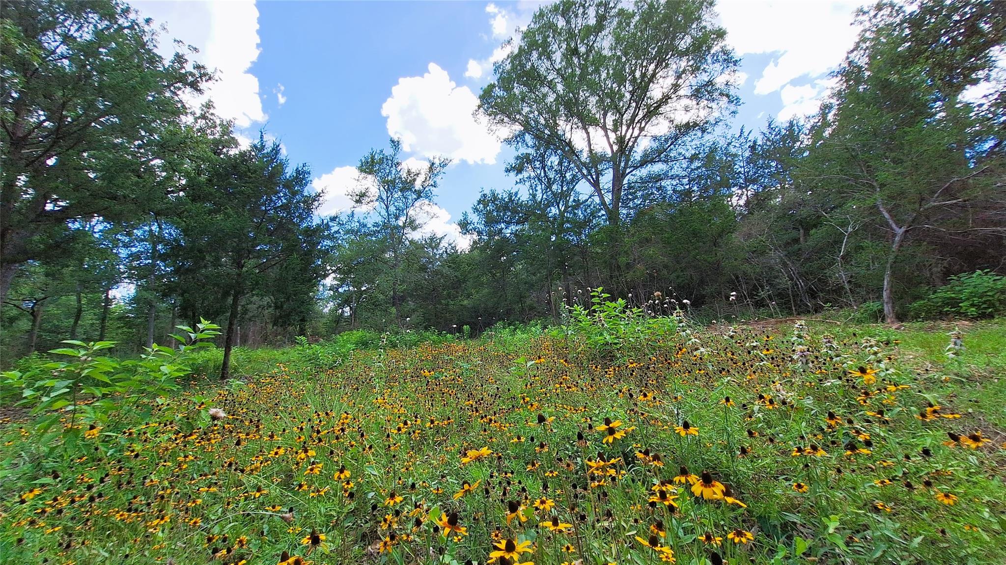 1014 Beaver Lake Dr — photo 1