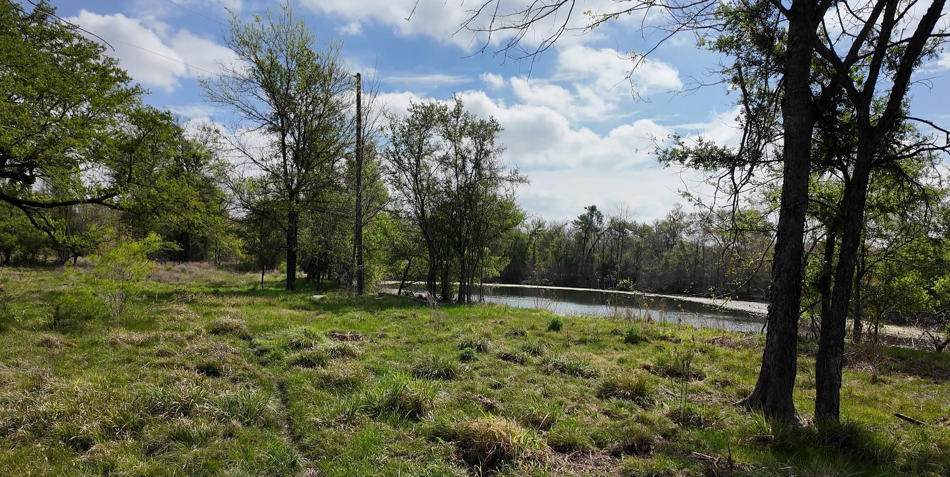 144 CR 219 None — photo 1