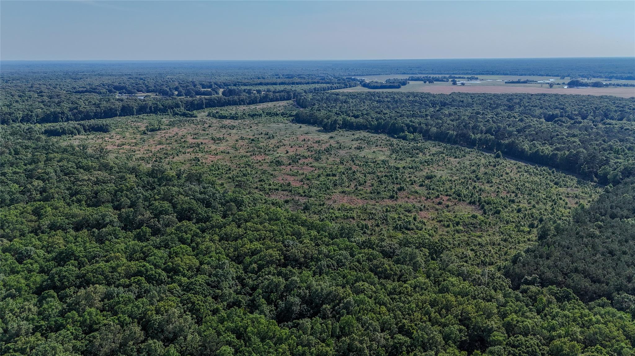 CR 4621 County Road 4621 None — photo 1