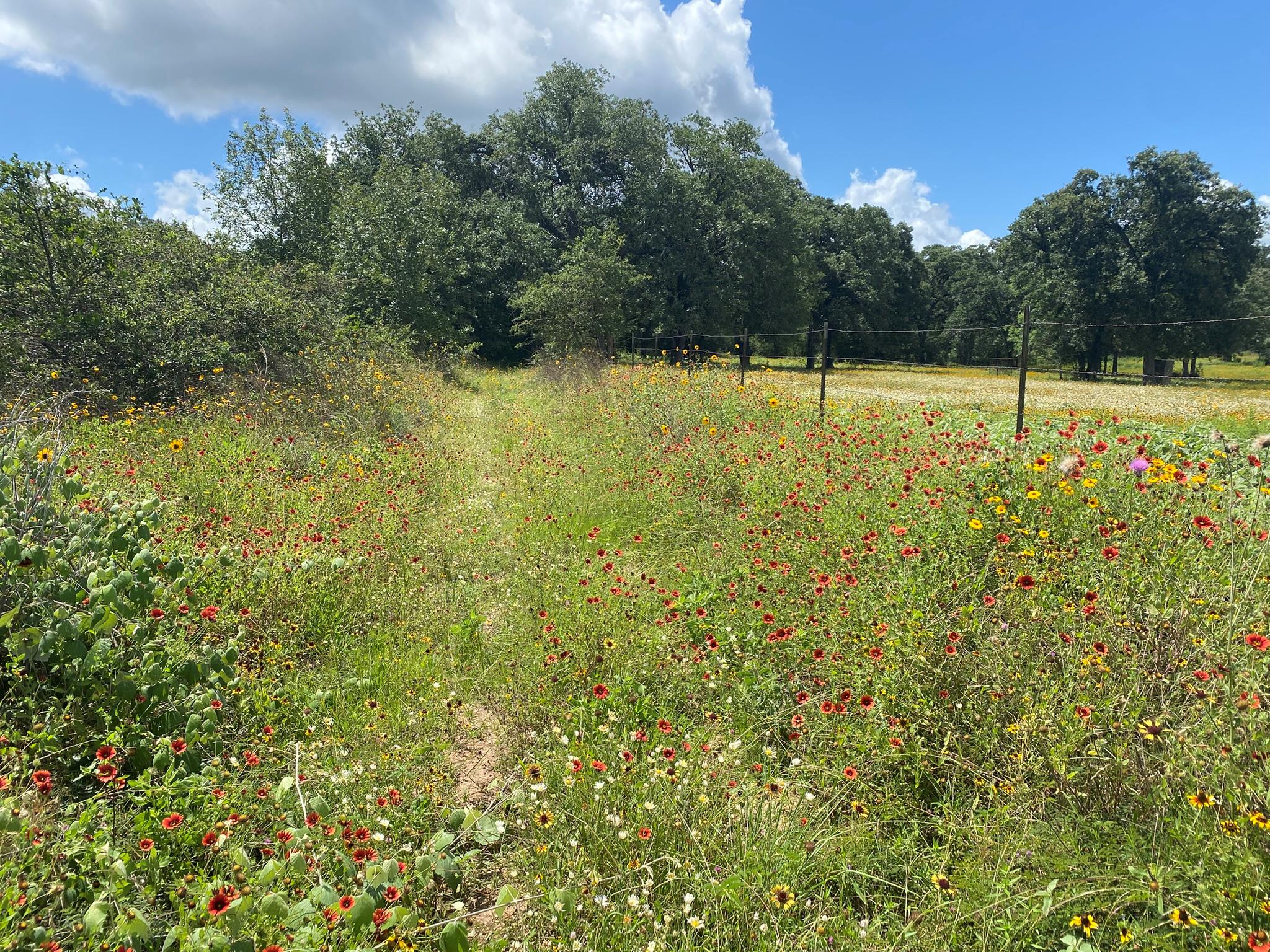 TBD Deep Sand Ln — photo 1