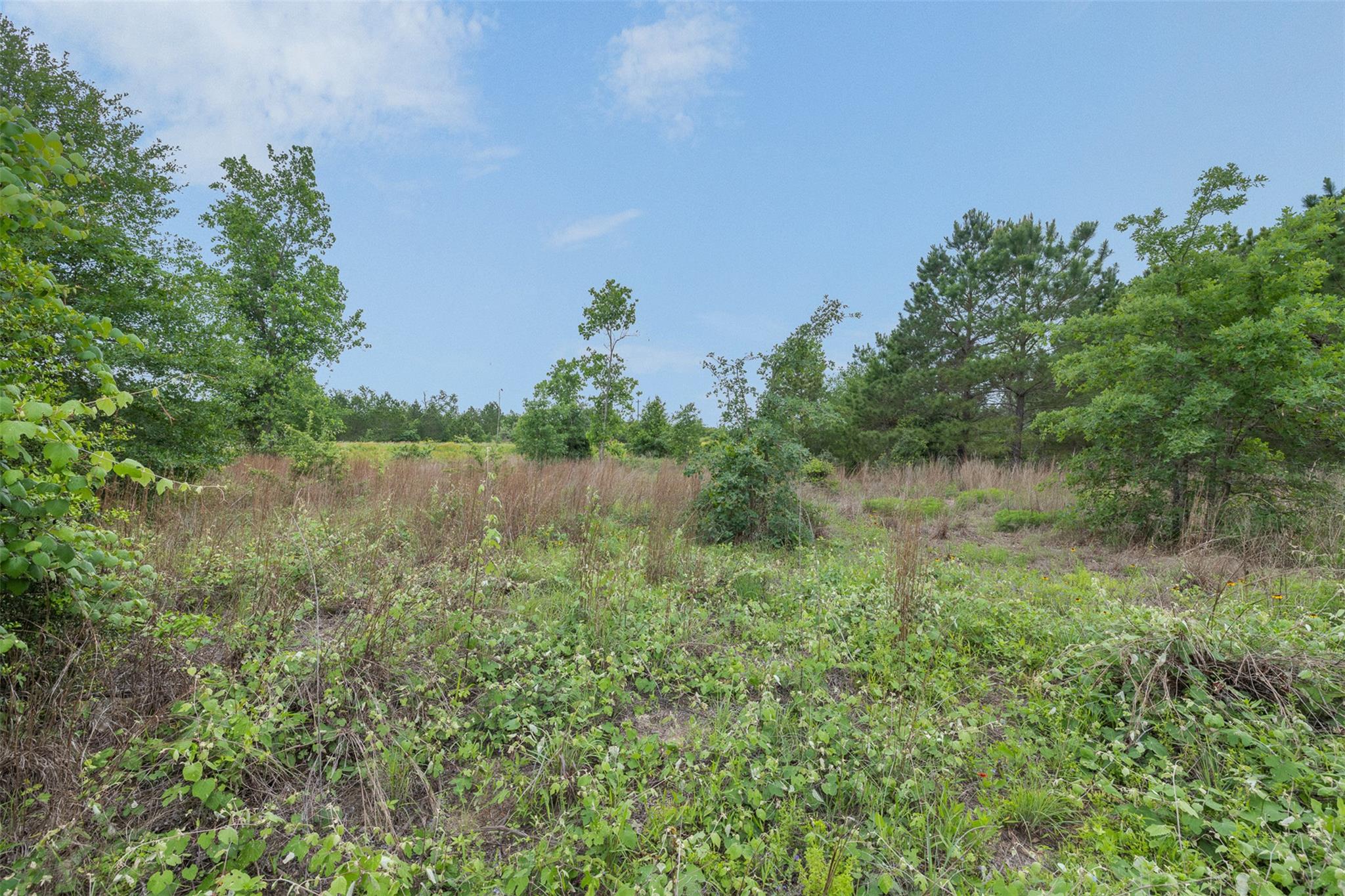 TBD Lot 20c County Rd — photo 1