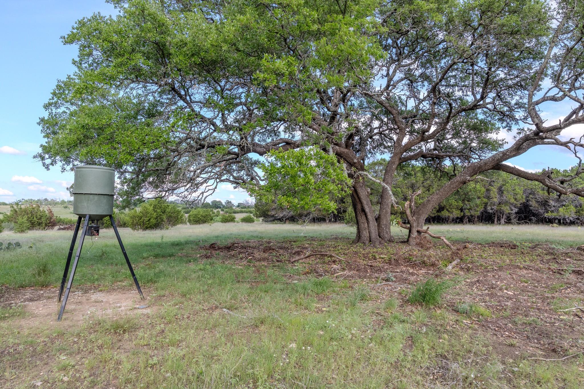 Lot 3 Bluestem Ln — photo 1
