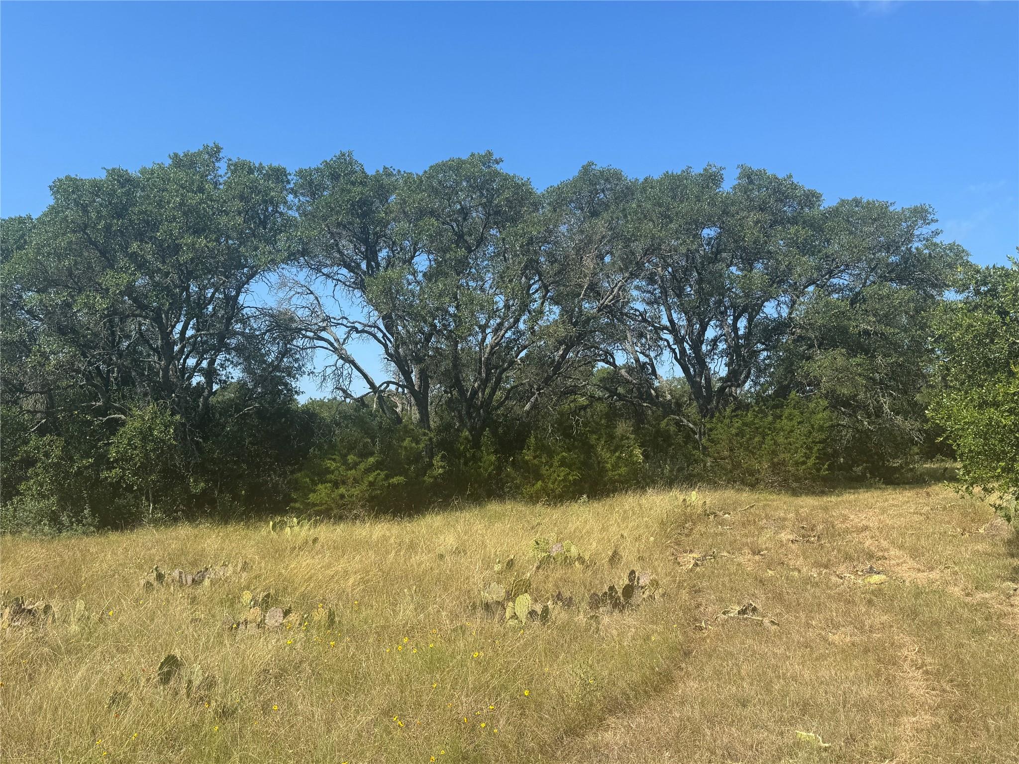 5 Back Bone creek Dr — photo 1