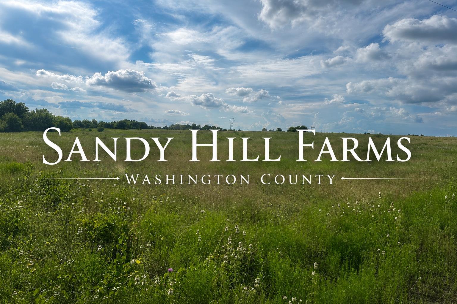 TRACT 3 Randermann Rd Rd — photo 1
