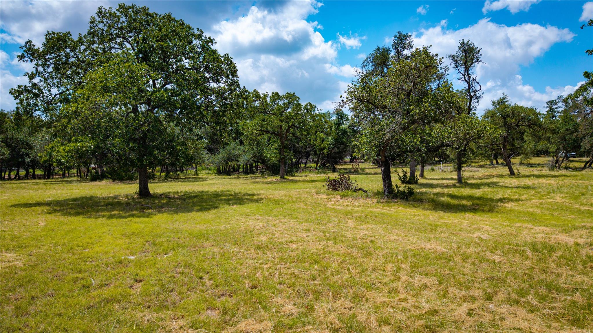 2041 Lone Man Mountain Rd — photo 1