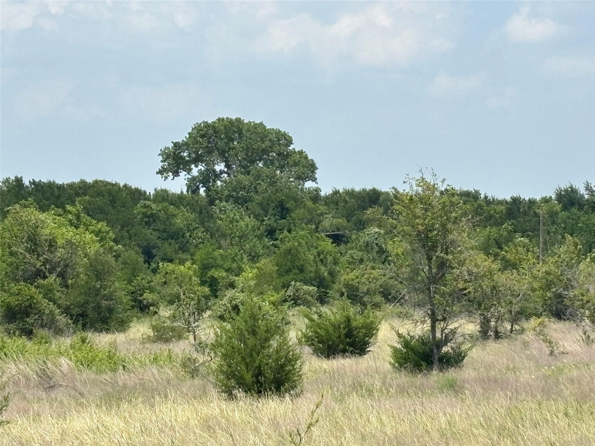 1500 Bottoms East Rd — photo 1