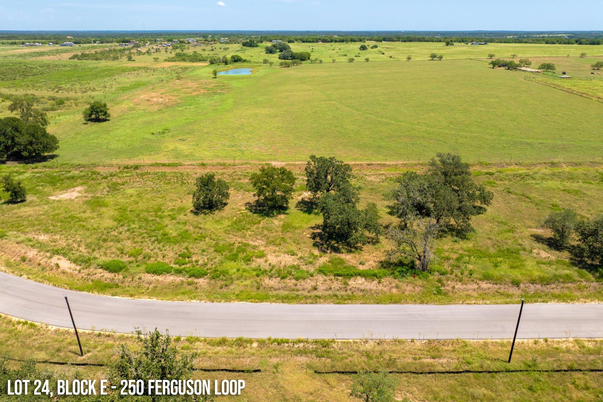 250 Ferguson Loop — photo 1