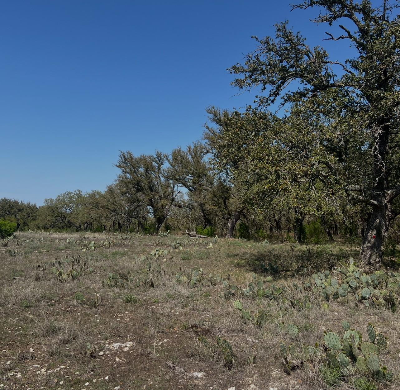 Lot 42 Waterbuck Way — photo 1