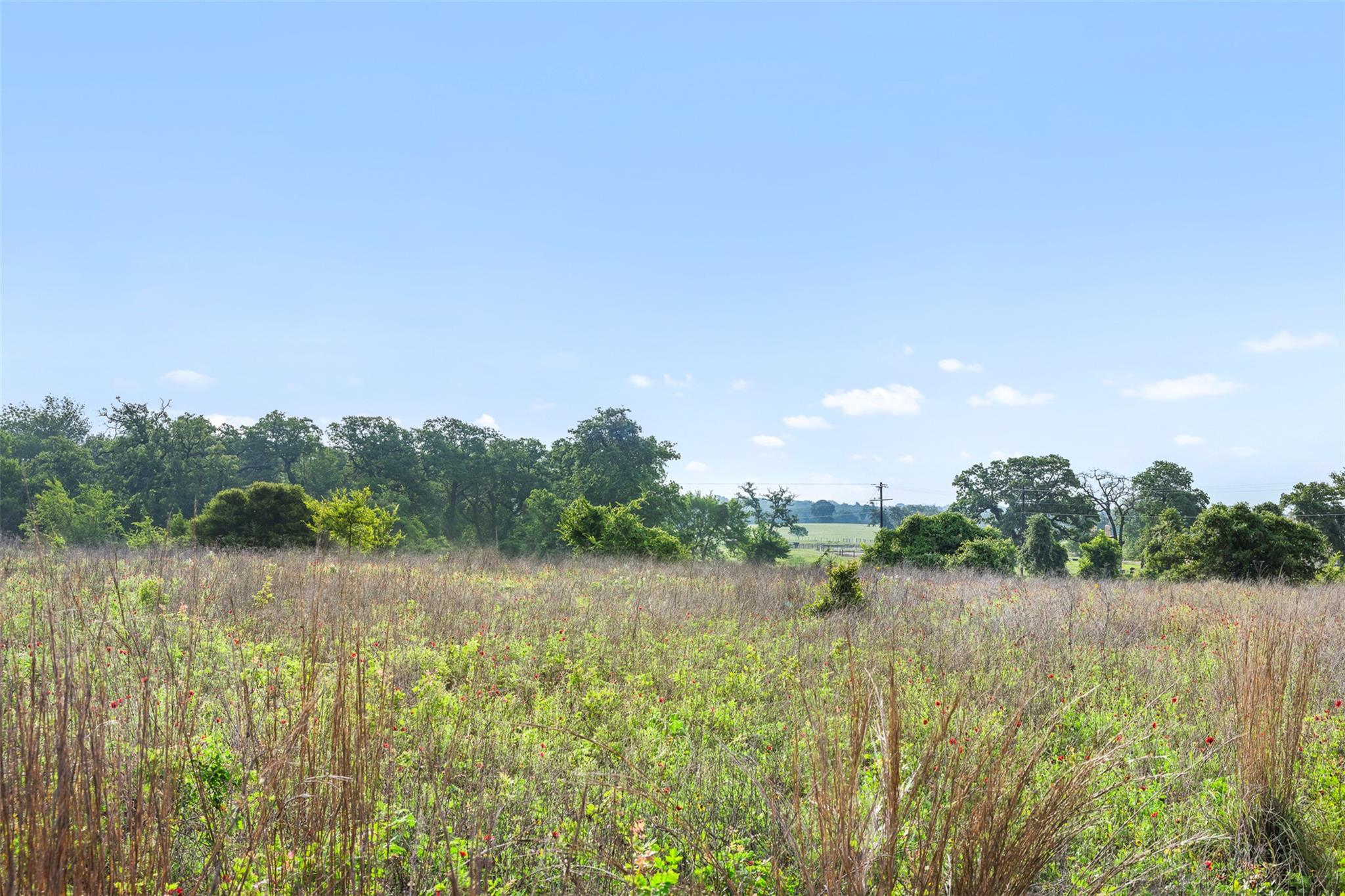 5241 County Road 358 Crst — photo 1