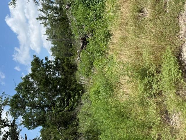 25402 Fawn Dr — photo 1