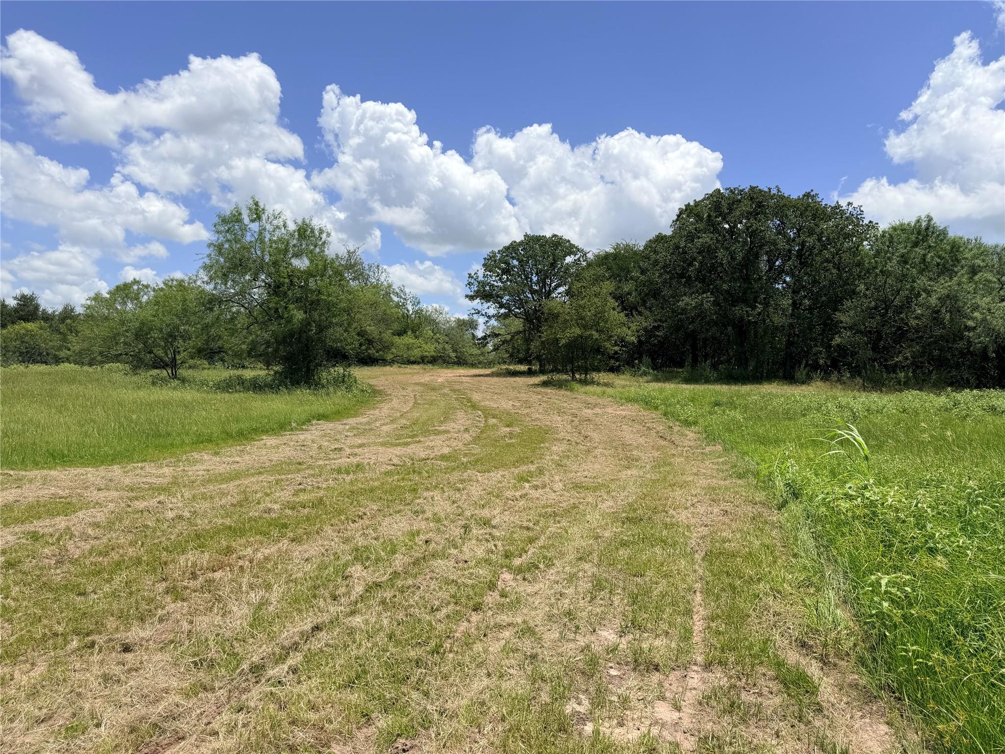 TBD FM 86 Tract 5 Hwy — photo 1