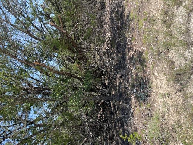 TBD CR 2644 None — photo 1