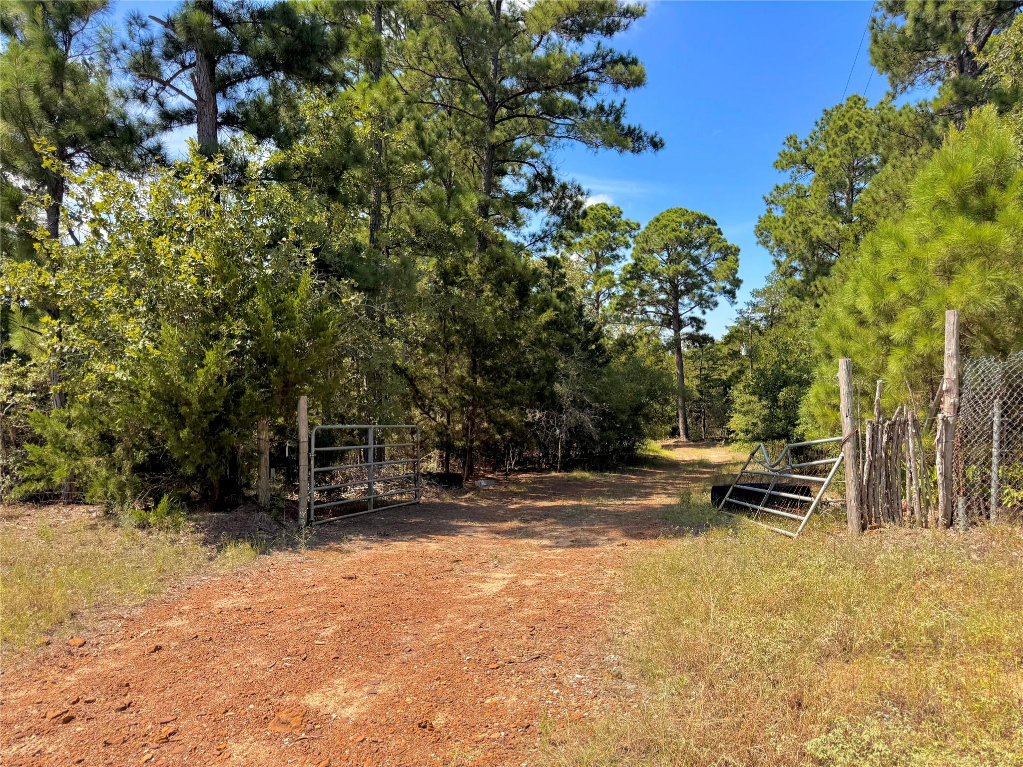445 Pine Valley Loop — photo 1
