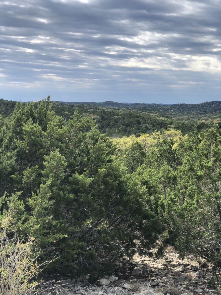 TBD County Road 635 None — photo 1