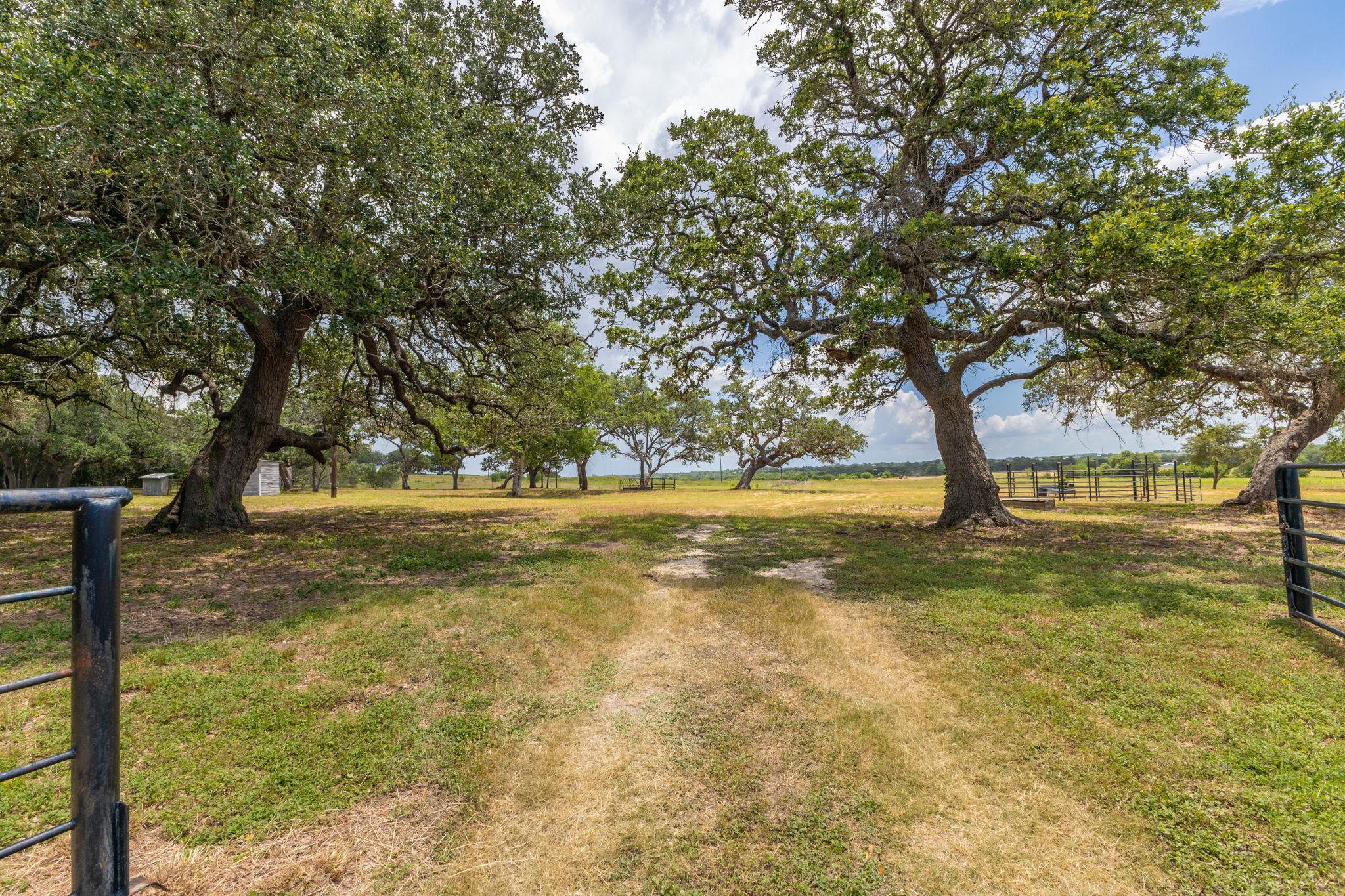 2160 (Tract #5) Baca Loop — photo 1