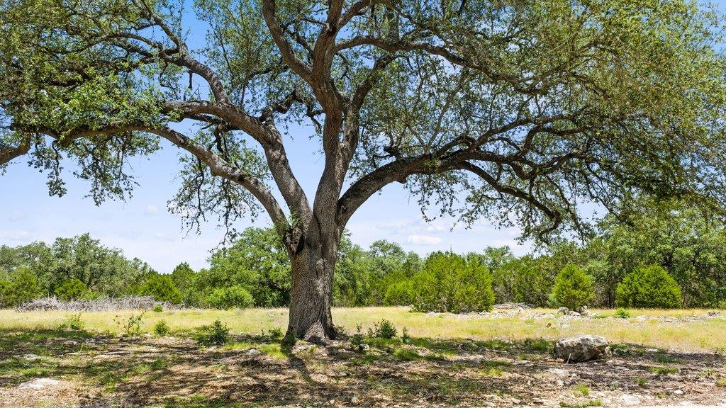 Tract 5 Cypress Cove Rd — photo 1