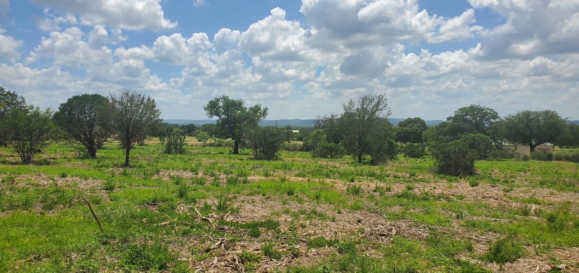 Tract 6 Lehne Loop — photo 1