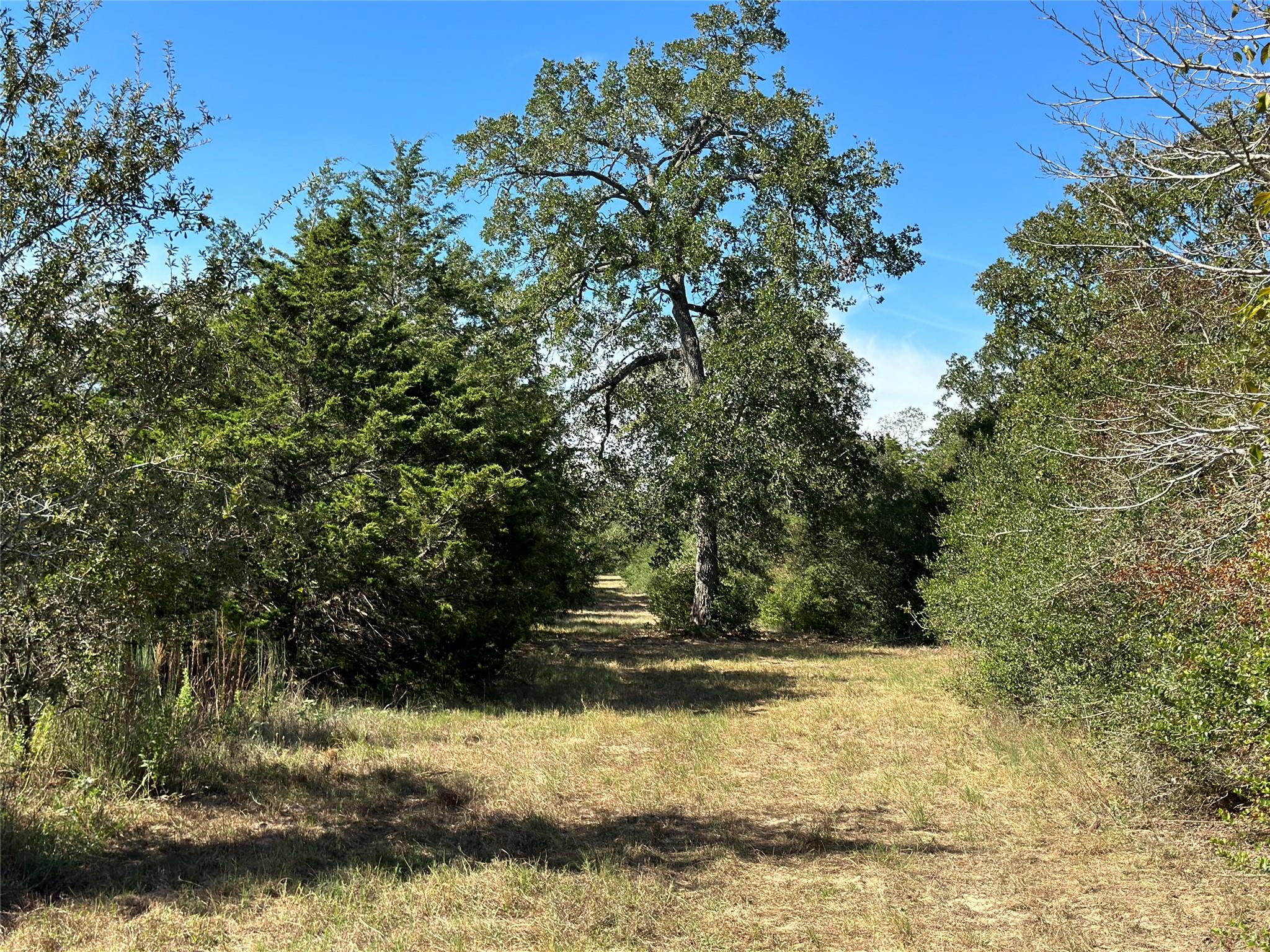 105 Colony Line Trl — photo 1