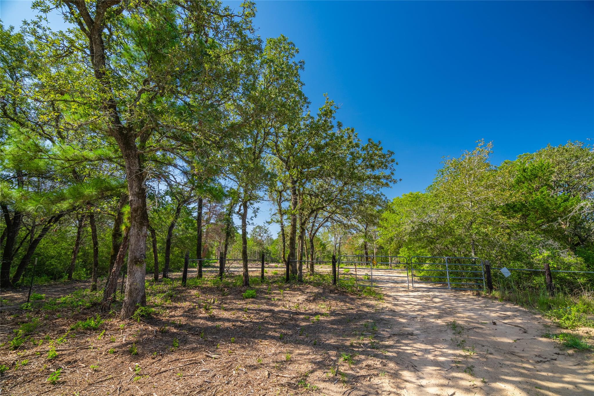 1247 Sand Hills Road None — photo 1